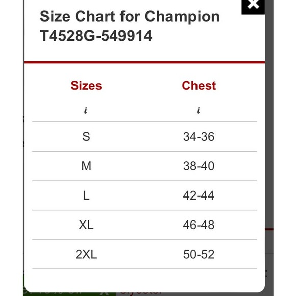 "Champion Men's Heritage Heather  Green Short Sleeve Tee XL  Mens 156" - Picture 4 of 4